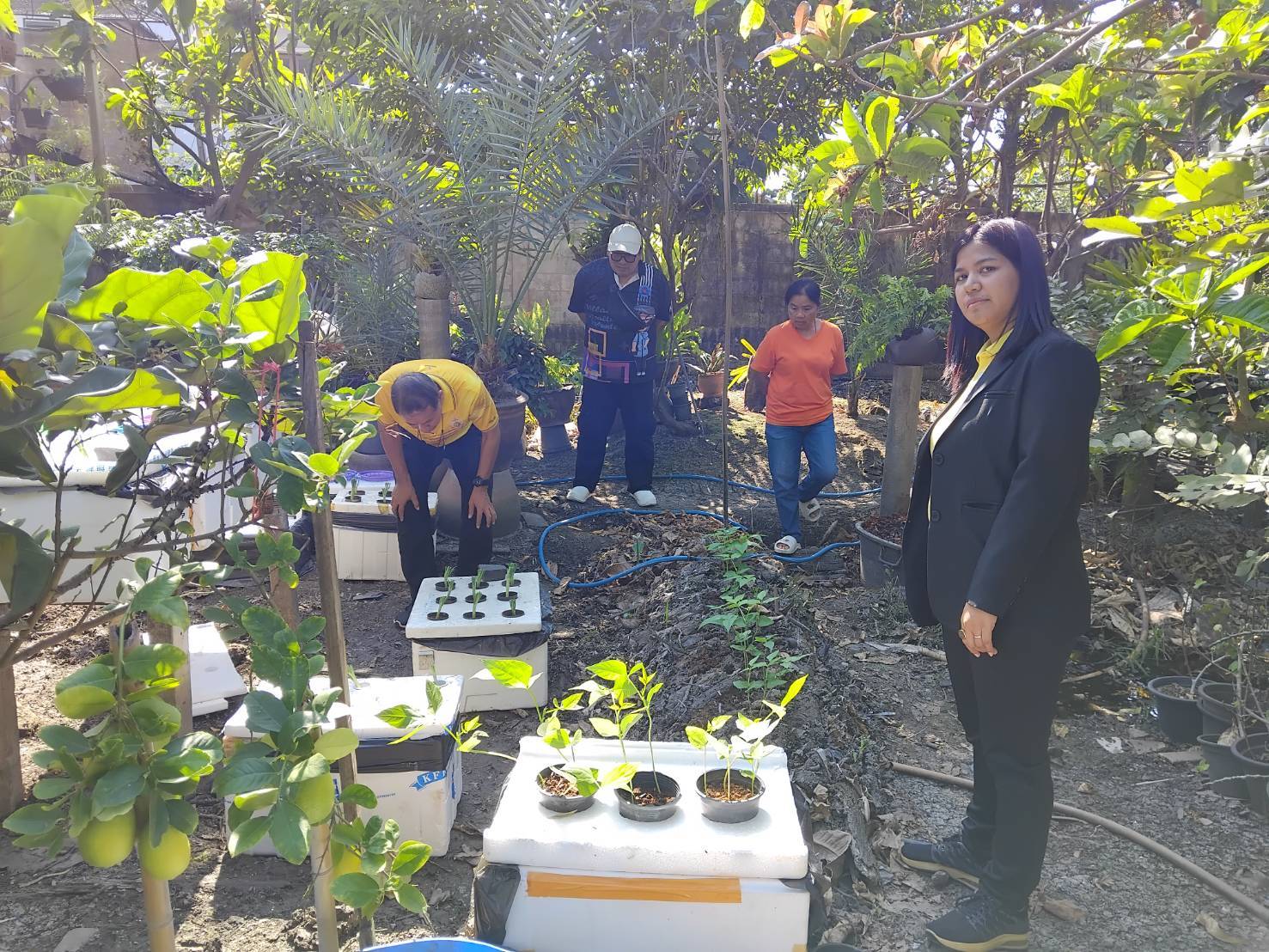 พช.บางกรวย น้อมนำแนวพระราชดำริของสมเด็จพระกนิษฐาธิราชเจ้า กรมสมเด็จพระเทพรัตนราชสุดาฯ สยามบรมราชกุมารี สู่แผนปฏิบัติการ ๙๐ วัน ปลูกผักสวนครัวเพื่อสร้างความมั่นคงทางอาหาร