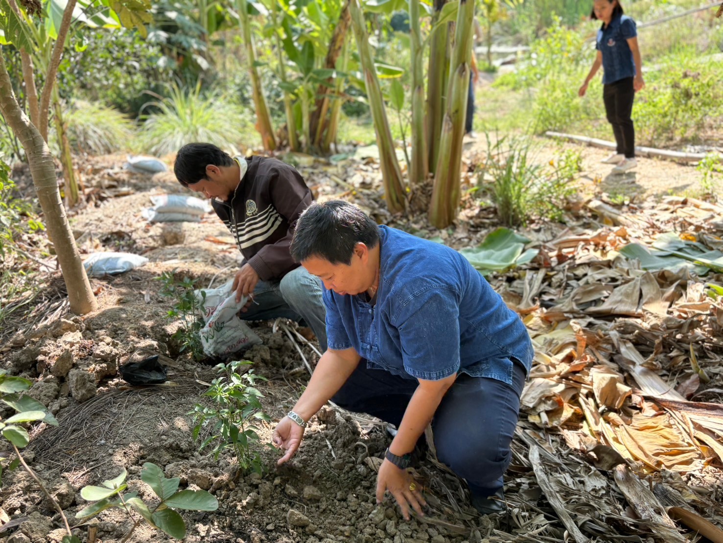 พช.นนทบุรี ดำเนินโครงการประชุมเชิงปฏิบัติการสนับสนุนการขับเคลื่อนเครือข่ายศูนย์เรียนรู้การพัฒนาคุณภาพชีวิตตามหลักทฤษฎีใหม่ ประยุกต์สู่ “โคก หนอง นา” ระดับจังหวัด