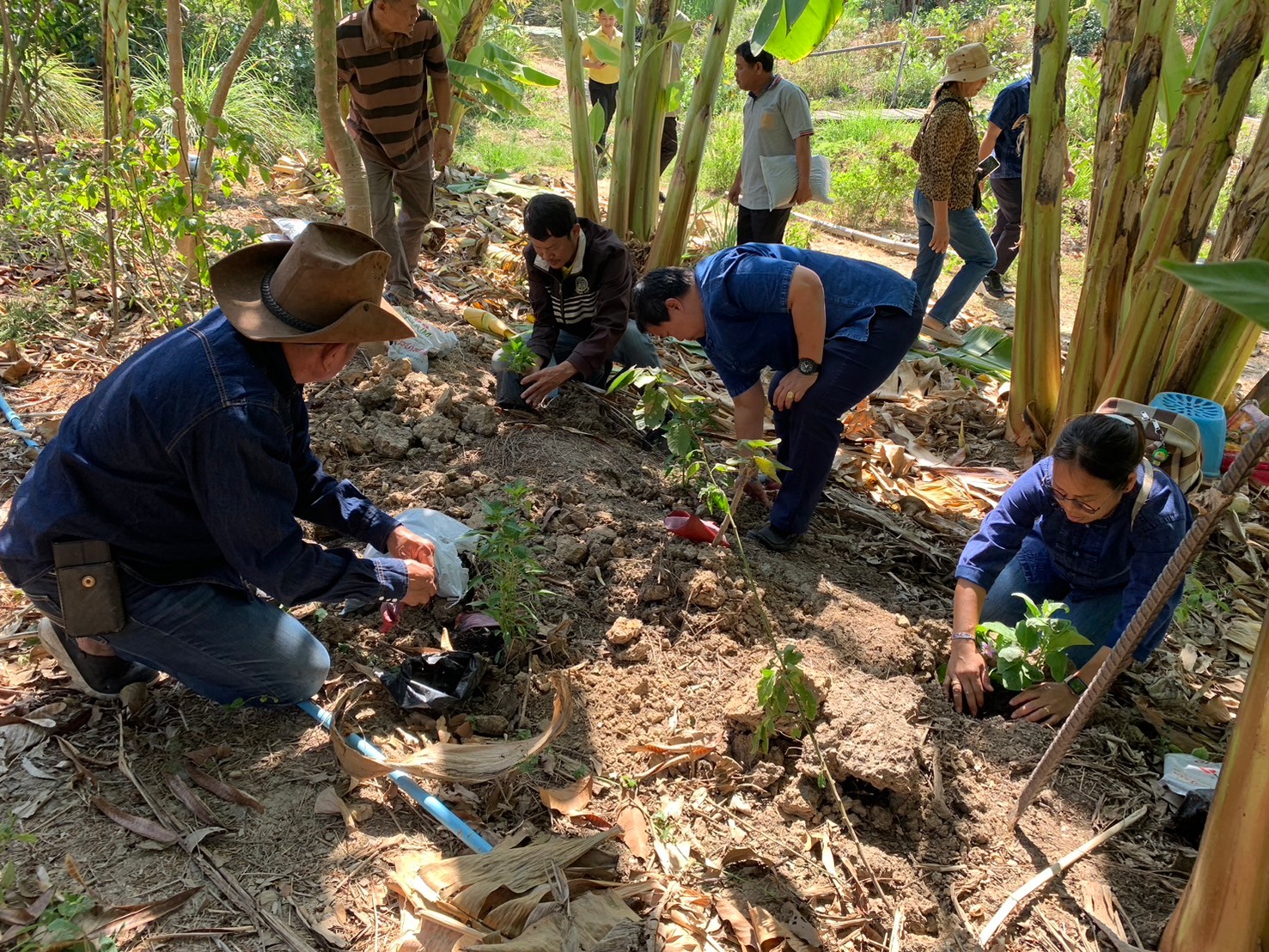 พช.นนทบุรี ดำเนินโครงการประชุมเชิงปฏิบัติการสนับสนุนการขับเคลื่อนเครือข่ายศูนย์เรียนรู้การพัฒนาคุณภาพชีวิตตามหลักทฤษฎีใหม่ ประยุกต์สู่ “โคก หนอง นา” ระดับจังหวัด