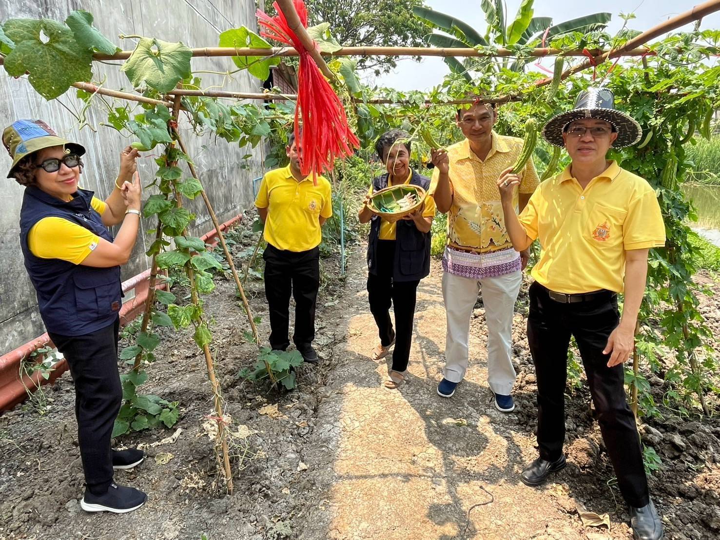 อำเภอบางกรวยร่วมกับสพอ.บางกรวยลงพื้นที่ตรวจเยี่ยมโครงการปลูกพืชผักสวนครัวของชุมชนหมู่บ้านเทพนคร หมู่ที่ 7 ตำบลมหาสวัสดิ์ อำเภอบางกรวย จังหวัดนนทบุรี