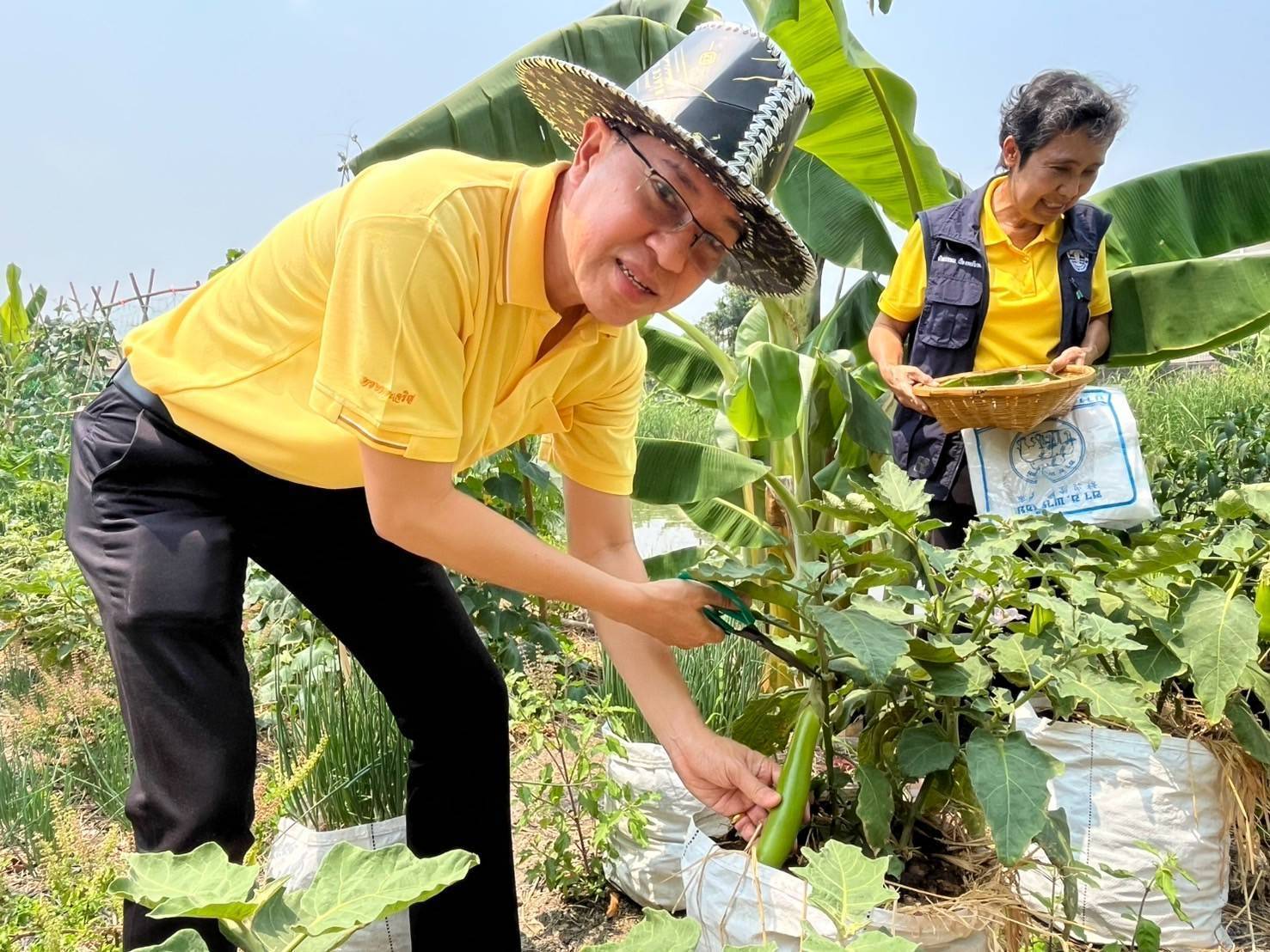 อำเภอบางกรวยร่วมกับสพอ.บางกรวยลงพื้นที่ตรวจเยี่ยมโครงการปลูกพืชผักสวนครัวของชุมชนหมู่บ้านเทพนคร หมู่ที่ 7 ตำบลมหาสวัสดิ์ อำเภอบางกรวย จังหวัดนนทบุรี