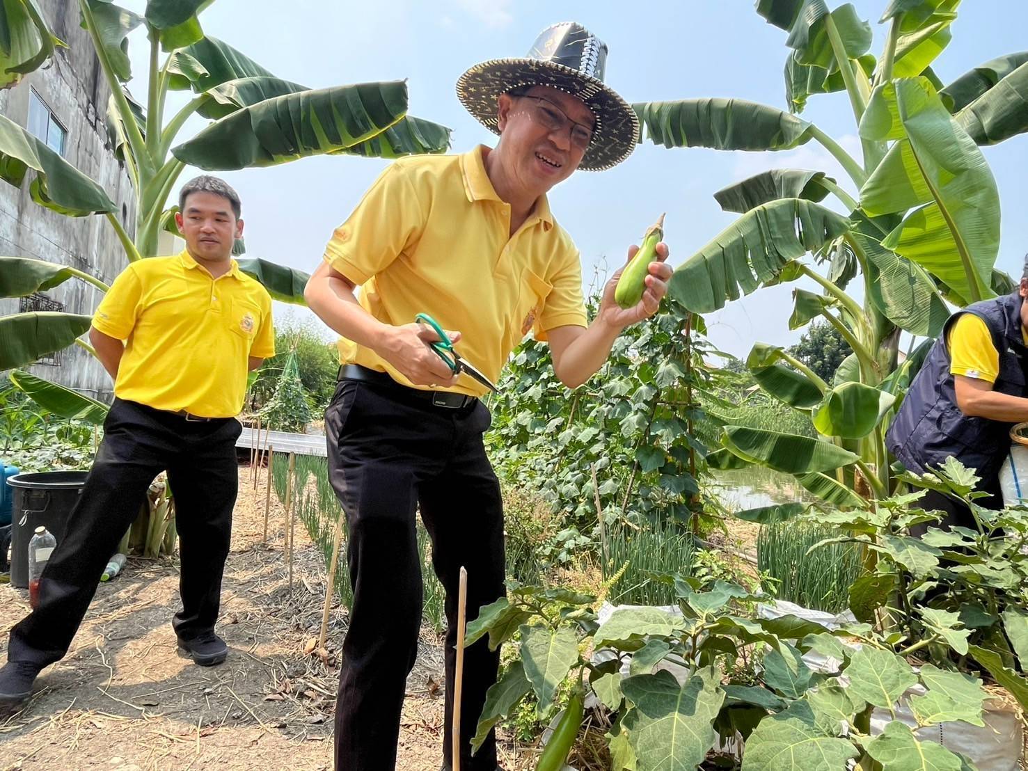 อำเภอบางกรวยร่วมกับสพอ.บางกรวยลงพื้นที่ตรวจเยี่ยมโครงการปลูกพืชผักสวนครัวของชุมชนหมู่บ้านเทพนคร หมู่ที่ 7 ตำบลมหาสวัสดิ์ อำเภอบางกรวย จังหวัดนนทบุรี