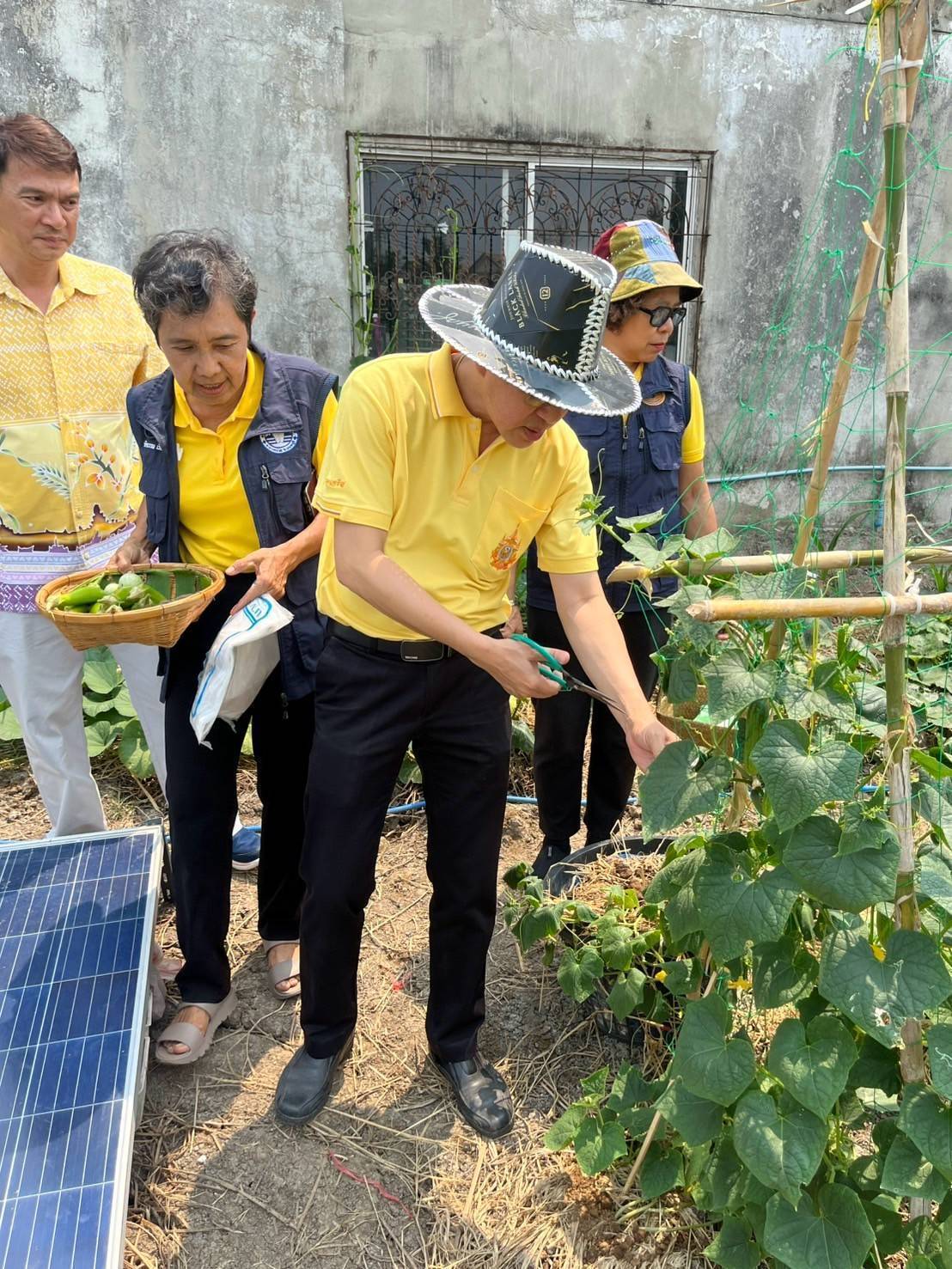 อำเภอบางกรวยร่วมกับสพอ.บางกรวยลงพื้นที่ตรวจเยี่ยมโครงการปลูกพืชผักสวนครัวของชุมชนหมู่บ้านเทพนคร หมู่ที่ 7 ตำบลมหาสวัสดิ์ อำเภอบางกรวย จังหวัดนนทบุรี