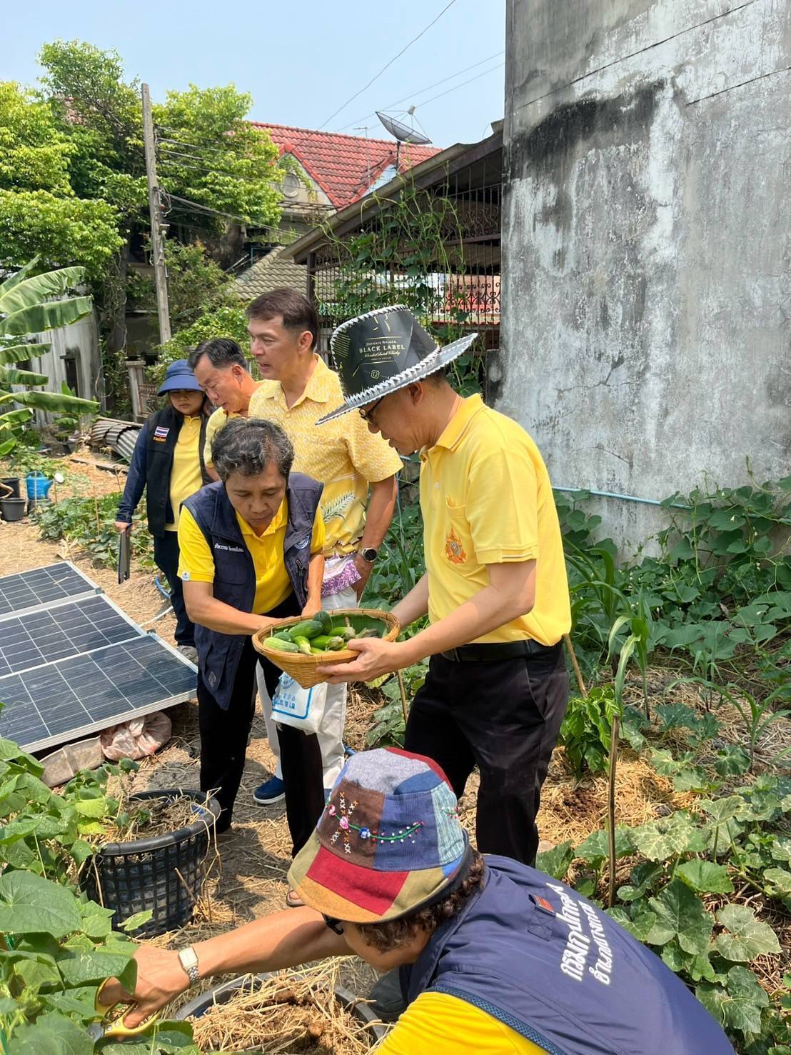 อำเภอบางกรวยร่วมกับสพอ.บางกรวยลงพื้นที่ตรวจเยี่ยมโครงการปลูกพืชผักสวนครัวของชุมชนหมู่บ้านเทพนคร หมู่ที่ 7 ตำบลมหาสวัสดิ์ อำเภอบางกรวย จังหวัดนนทบุรี