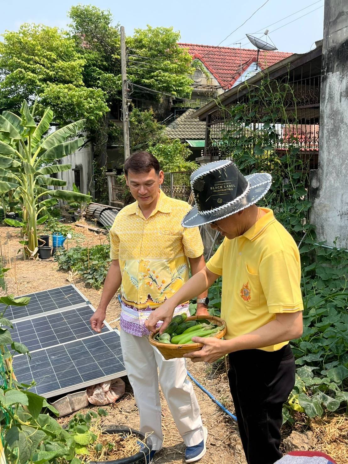 อำเภอบางกรวยร่วมกับสพอ.บางกรวยลงพื้นที่ตรวจเยี่ยมโครงการปลูกพืชผักสวนครัวของชุมชนหมู่บ้านเทพนคร หมู่ที่ 7 ตำบลมหาสวัสดิ์ อำเภอบางกรวย จังหวัดนนทบุรี