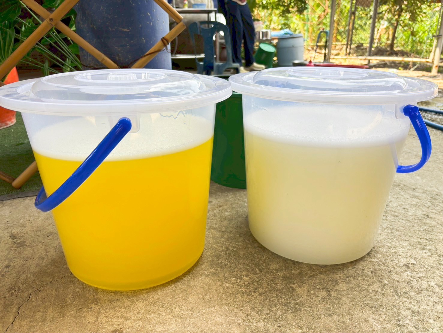 🏡พช.บางบัวทอง ดำเนินโครงการสนับสนุนและให้ความช่วยเหลือครัวเรือนยากจนแบบบูรณาการ กิจกรรมที่ 2 ดำเนินกิจกรรม/โครงการให้ความช่วยเหลือครัวเรือนยากจน