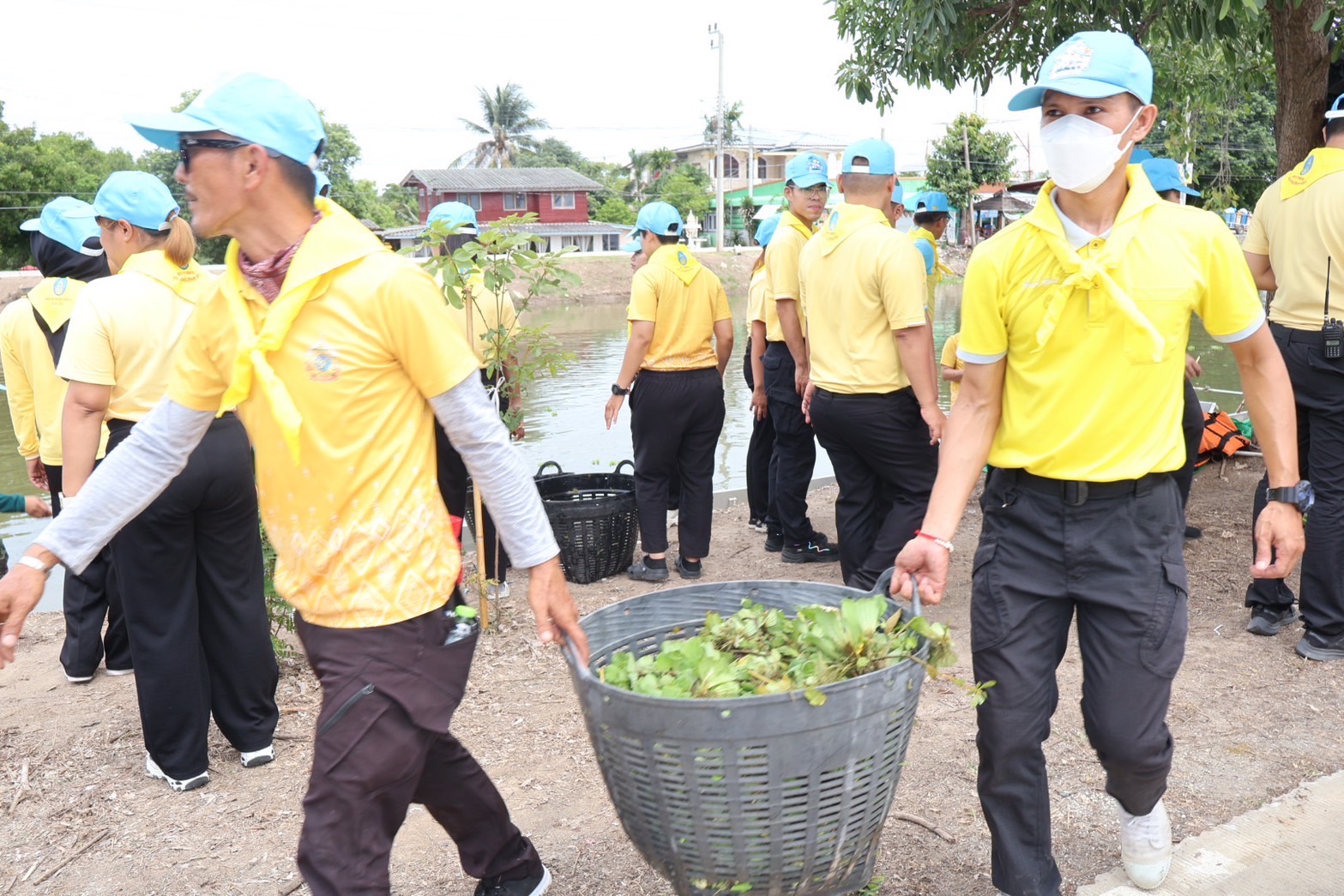 สพจ.นนทบุรี ร่วมกิจกรรรมจิตอาสาเนื่องในวันเฉลิมพระชนมพรรษาสมเด็จพระนางเจ้าสุทิดา พัชรสุธาพิมลลักษณ พระบรมราชินี 3 มิถุนายน 2568