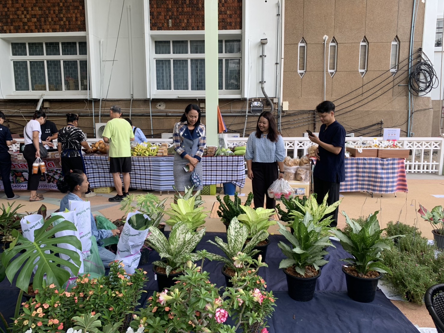 ✊✅สพจ.นนทบุรีขอเชิญชวนผู้ที่สนใจเข้ามาชิม ช้อป ใช้ ณ ตลาดโดมนนท์ ศาลากลางจังหวัดนนทบุรี