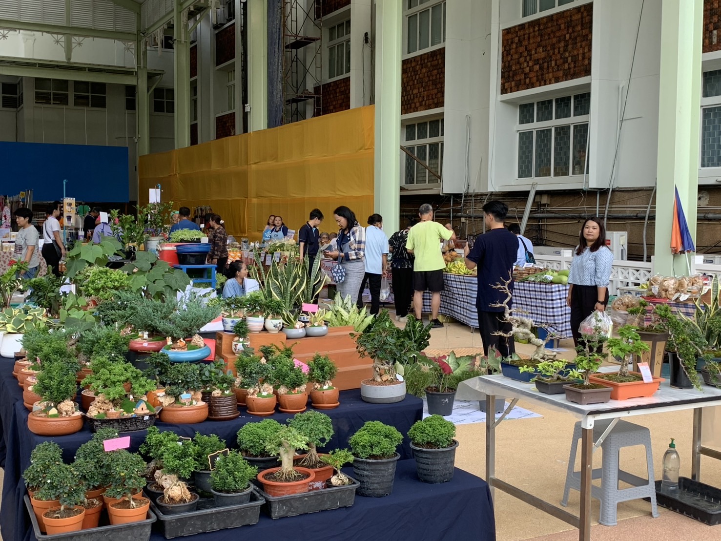 ✊✅สพจ.นนทบุรีขอเชิญชวนผู้ที่สนใจเข้ามาชิม ช้อป ใช้ ณ ตลาดโดมนนท์ ศาลากลางจังหวัดนนทบุรี